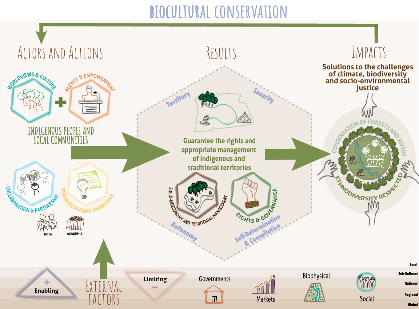 Theory of Change Diagram with External Factors